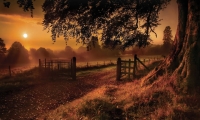 شمس الخريف، للمصور المبدع ماك برلاند